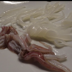 ケンサキイカやっと釣れた。